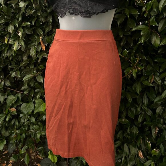 Forever 21 Pencil Skirt Bundle - Picture 2 of 4